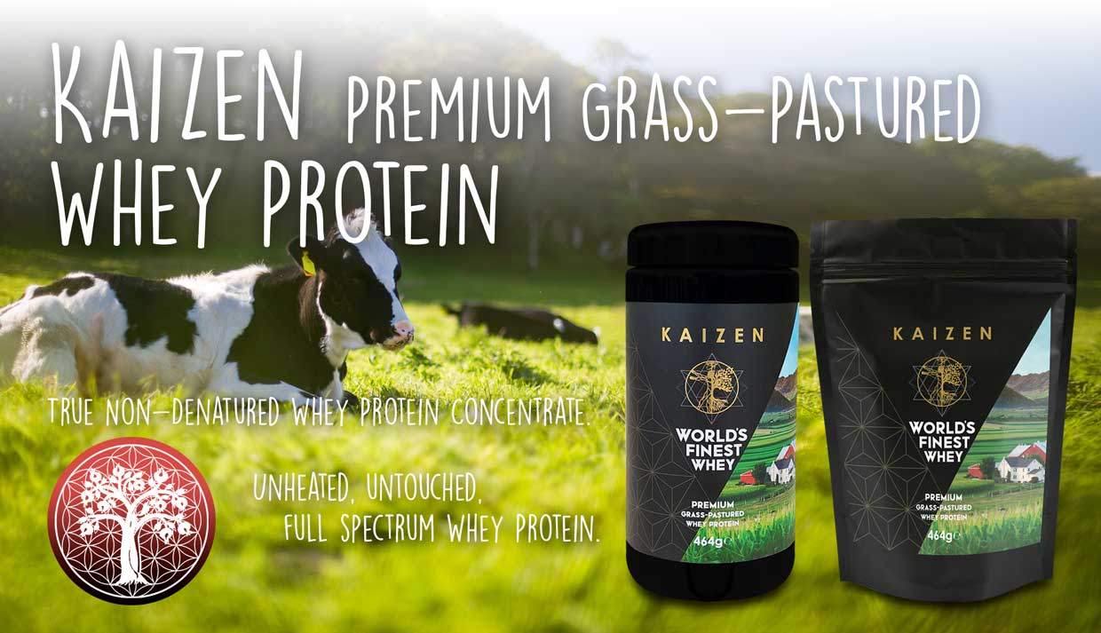 Kaizen Whey Protein Supplent